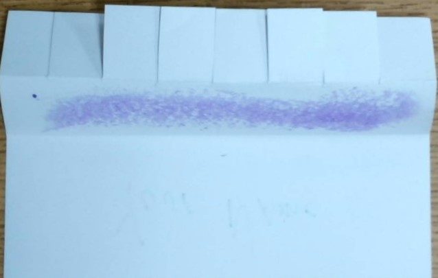 Glue spread along the middle strip before refolding